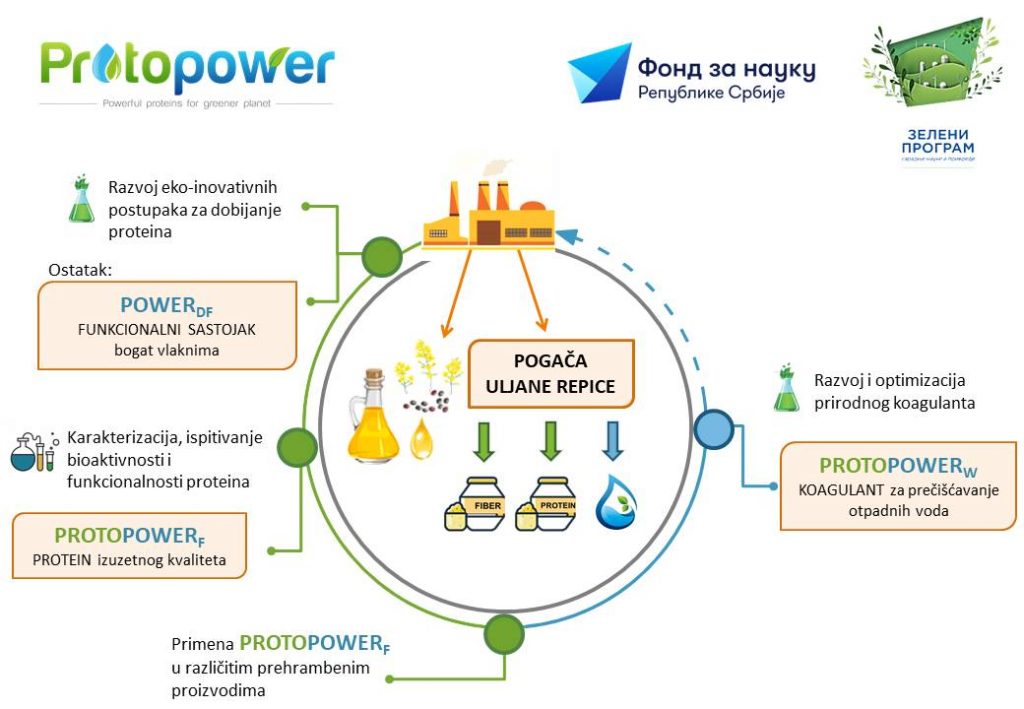 PROTein from Rapeseed Oil Processing Waste Application in FOod and